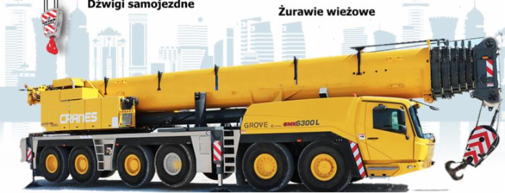 LS Group - Dźwigi Poznań