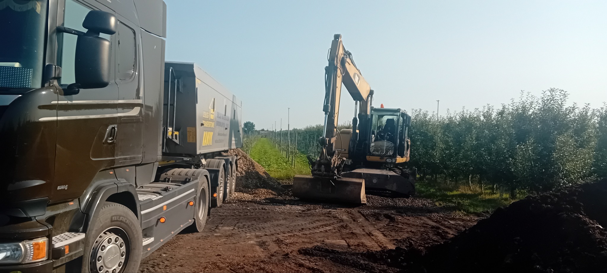 Ciężarówka z naczepą i koparka na tle sadu. Koparka wyrównuje teren, a ciężarówka czeka na załadunek. Widoczne ślady opon na ziemi.