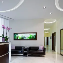 Nowoczesne biuro z recepcją, skórzanymi sofami, podświetlanym akwarium w ścianie i podwieszanym sufitem z oświetleniem LED.