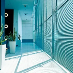 Nowoczesne, poziome żaluzje wewnętrzne w biurowcu w Rzeszowie, z widocznymi cieniami na podłodze i roślinami w białych donicach.