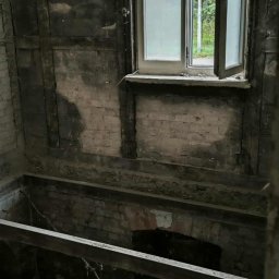 Wycinka drzew Wąbrzeźno 1