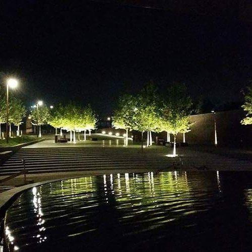 Nocny widok na oświetlony park z elementami wodnymi, drzewa podświetlone od dołu, schody prowadzące do wyżej położonego terenu, odbicia świateł w wodzie.