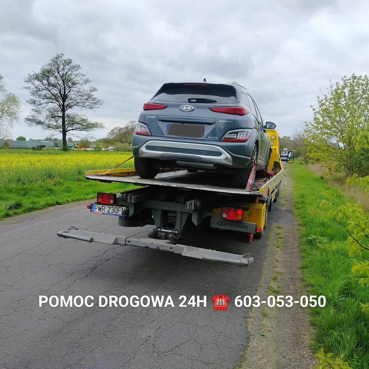 Szary samochód Hyundai Kona Hybrid na żółtej lawecie na drodze we Wrześni, widok z tyłu, tablica rejestracyjna PWR 230FN, polne kwiaty w tle.
