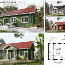 Wizualizacja zewnętrzna domu jednorodzinnego z czerwonym dachem i zieloną elewacją, z planem architektonicznym i przykładami kolorystyki.