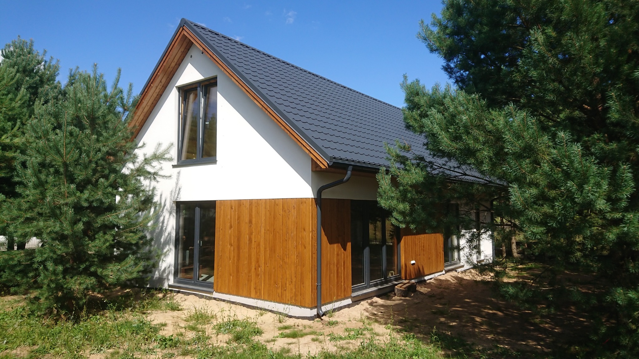 Nowoczesny dom z drewnianą elewacją i ciemnym dachem, otoczony sosnami w słoneczny dzień.