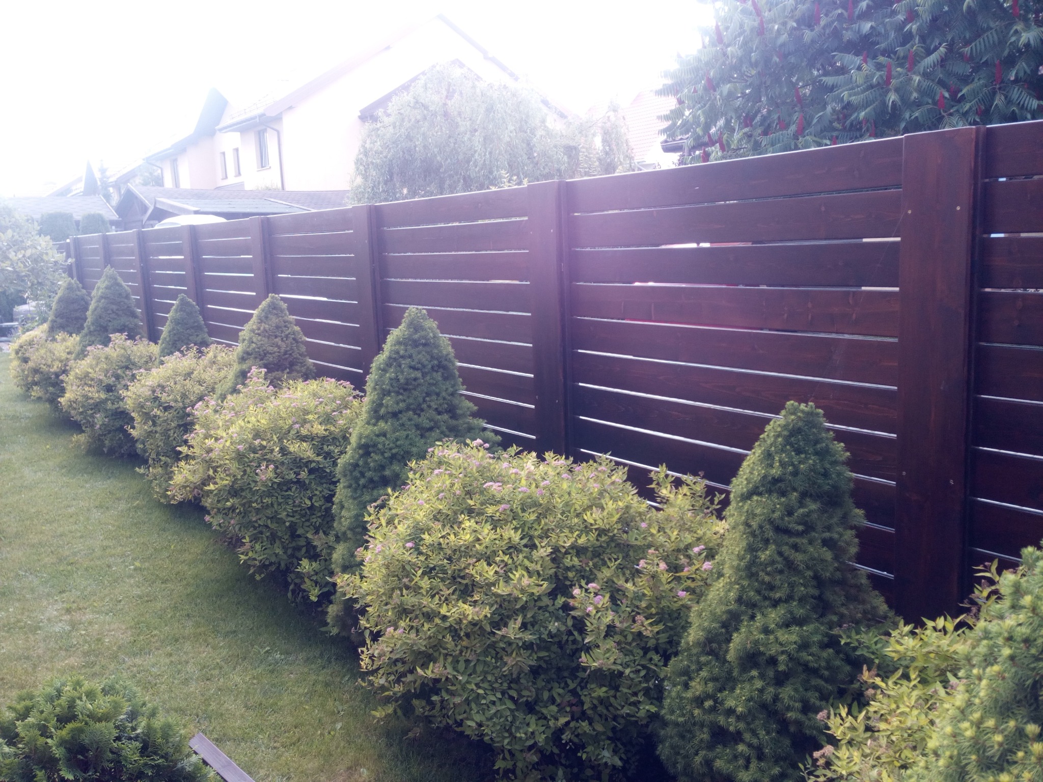 Długa, pozioma, ciemnobrązowa drewniana ogrodowa konstrukcja z poziomych desek, zza której widać dom, a przed nią rosną regularnie posadzone, przycięte krzewy i stożkowe drzewka.