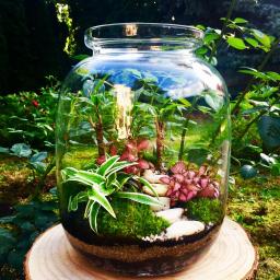 Rośliny i podłoża Warszawa 4