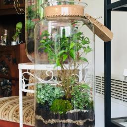 Rośliny i podłoża Warszawa 2