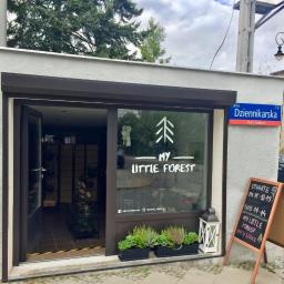 Rośliny i podłoża Warszawa 3