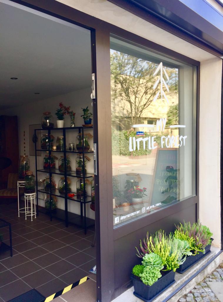 Otwarty sklep z terrariami i roślinami w szklanych słojach, widoczne logo 'My Little Forest' na szybie i rośliny w doniczkach przed wejściem.