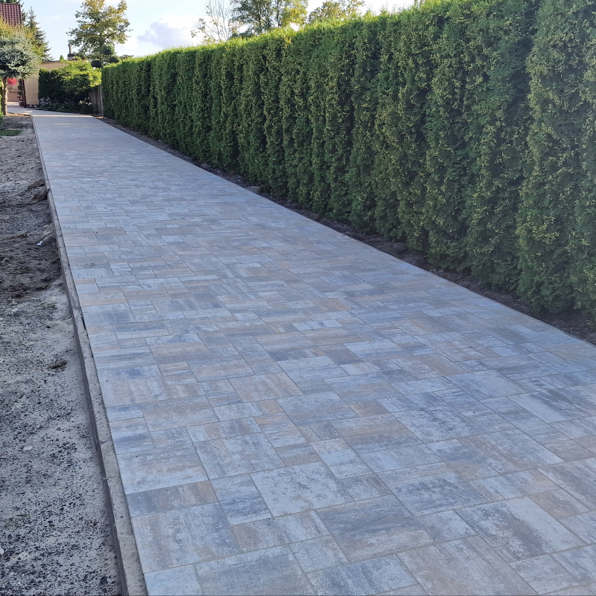 Ułożona, szara kostka brukowa tworzy ścieżkę wzdłuż zielonego żywopłotu. Widok z perspektywy, ukazujący regularny wzór i estetyczne wykończenie.