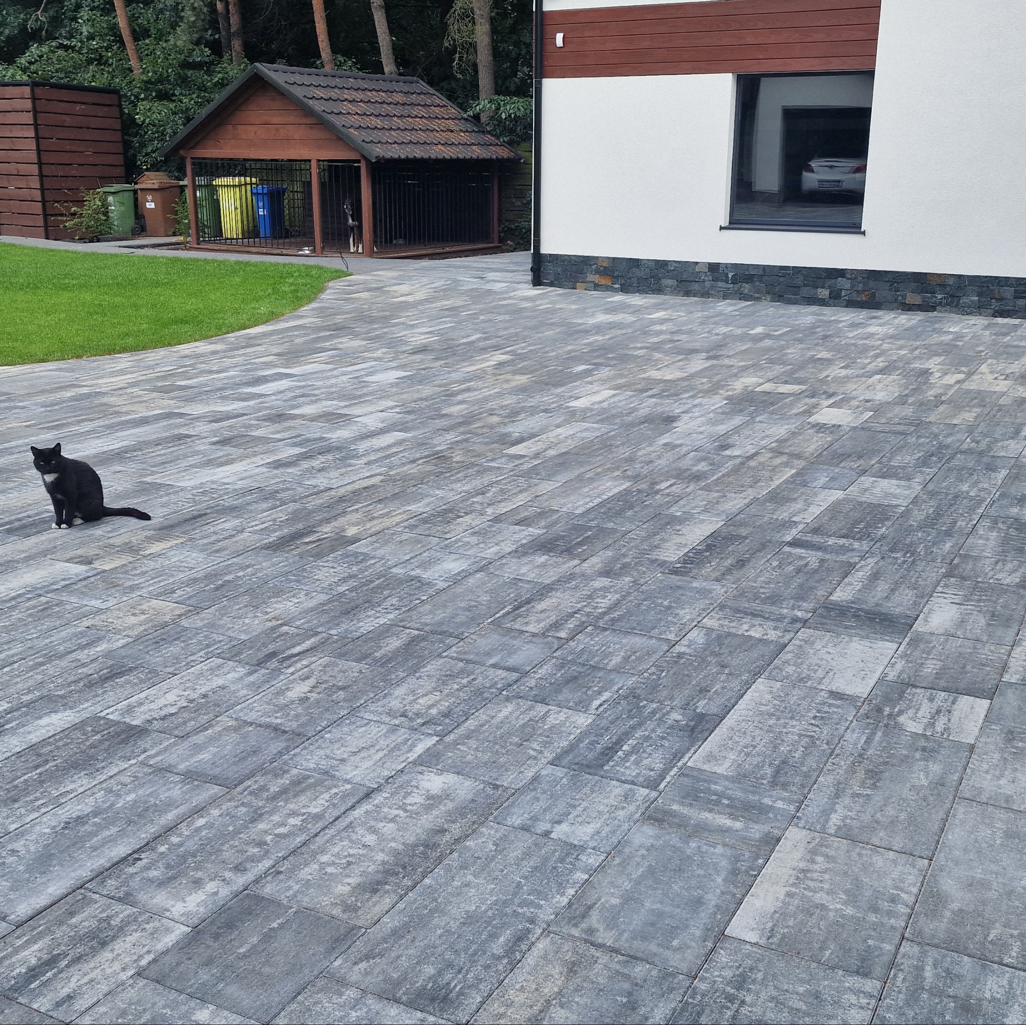 Szara kostka brukowa ułożona na podjeździe, z czarnym kotem siedzącym z boku. W tle dom z garażem i buda dla psa.