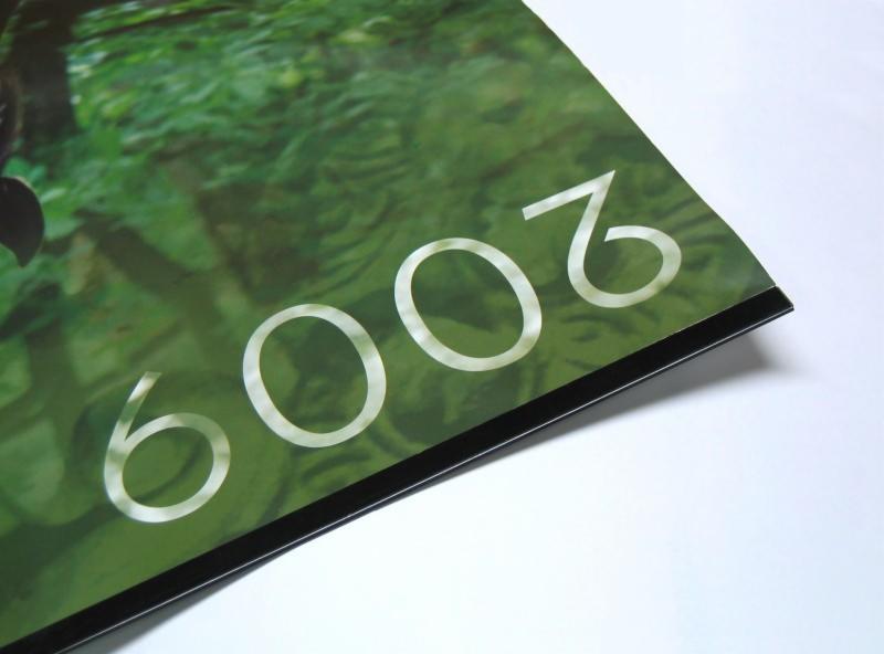 Fragment wydruku z datą 2009 na tle zieleni, widoczny narożnik z czarnym obramowaniem.