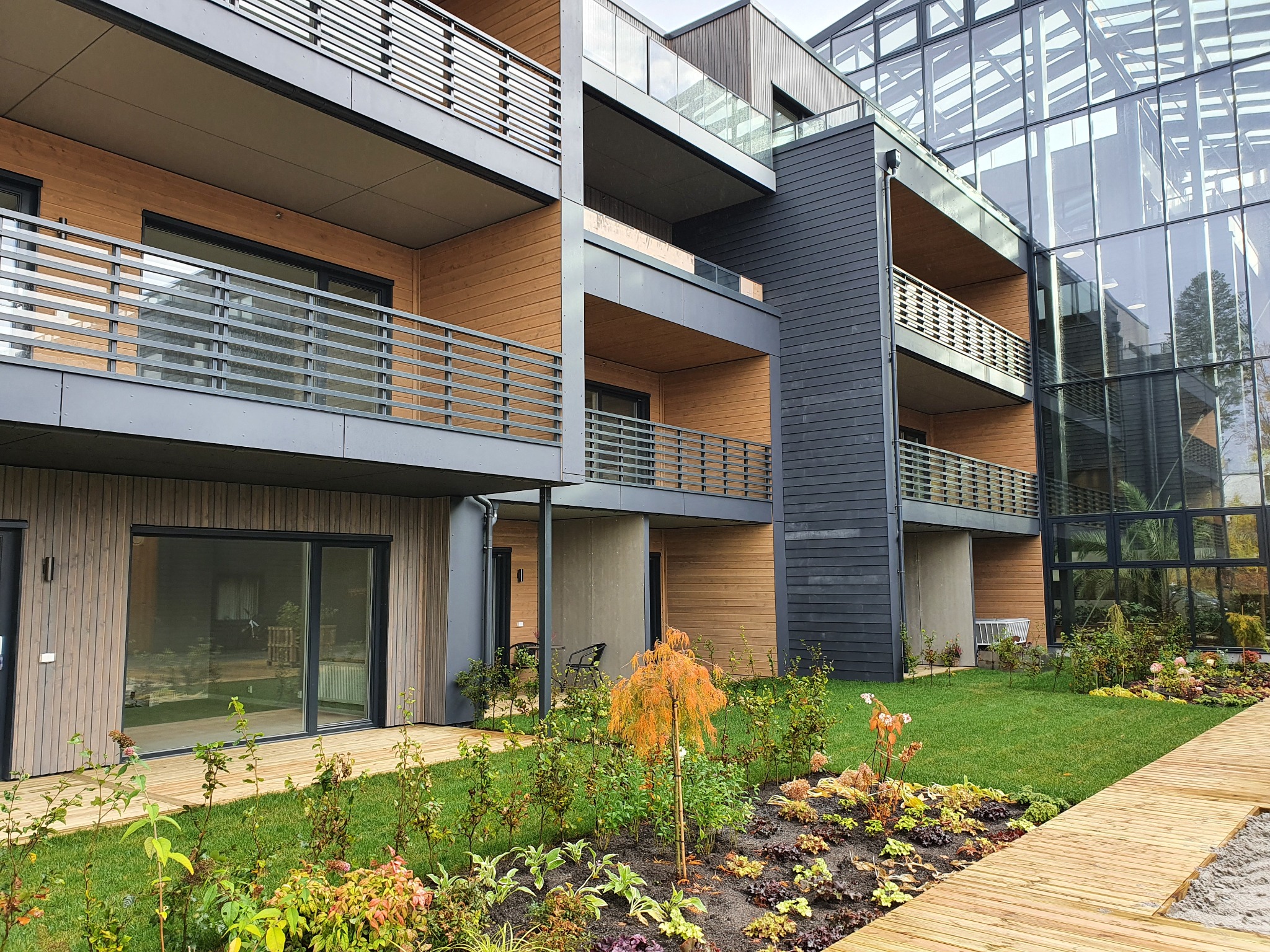 Nowoczesny budynek wielorodzinny z drewnianą elewacją i balkonami, widok z poziomu ogrodu z małym drzewkiem o pomarańczowych liściach.