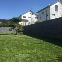 Ujęcie ogrodu z równo przystrzyżonym trawnikiem, ozdobnym drzewkiem Bonsai i murem oporowym z szarej kamiennej okładziny, w tle dwa białe domy jednorodzinne pod błękitnym niebem.