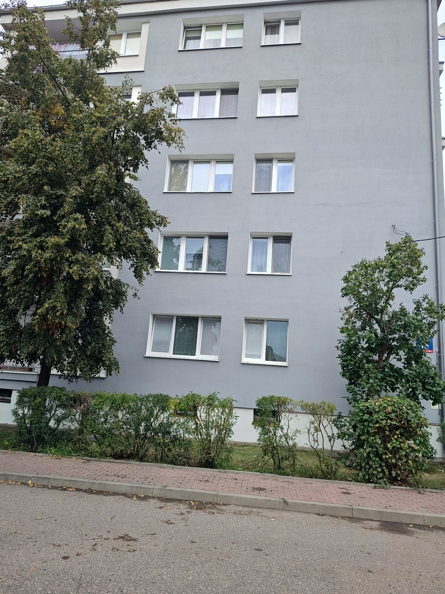 Szary budynek wielorodzinny z białymi oknami, częściowo zasłonięty przez drzewa i krzewy, widziany z poziomu ulicy.
