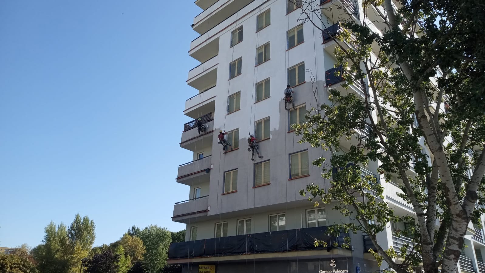 Pracownicy na linach malują elewację wysokiego budynku. Część ściany pomalowana na szaro, reszta biała. Widoczne drzewa i błękitne niebo w słoneczny dzień.