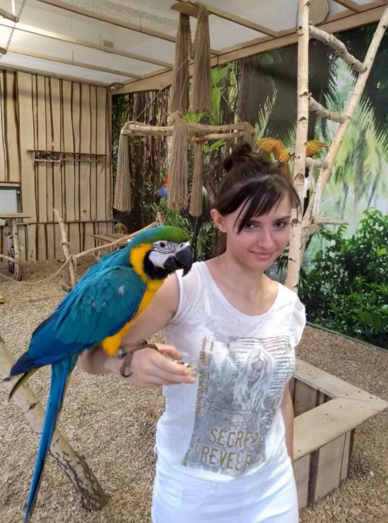 Młoda kobieta z upiętymi włosami trzyma na przedramieniu dużą, kolorową arę w pomieszczeniu przypominającym wolierę.