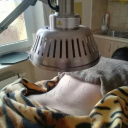 Pacjent pod lampą grzewczą z igłami akupunkturowymi na klatce piersiowej, przykryty kocem w tygrysi wzór.