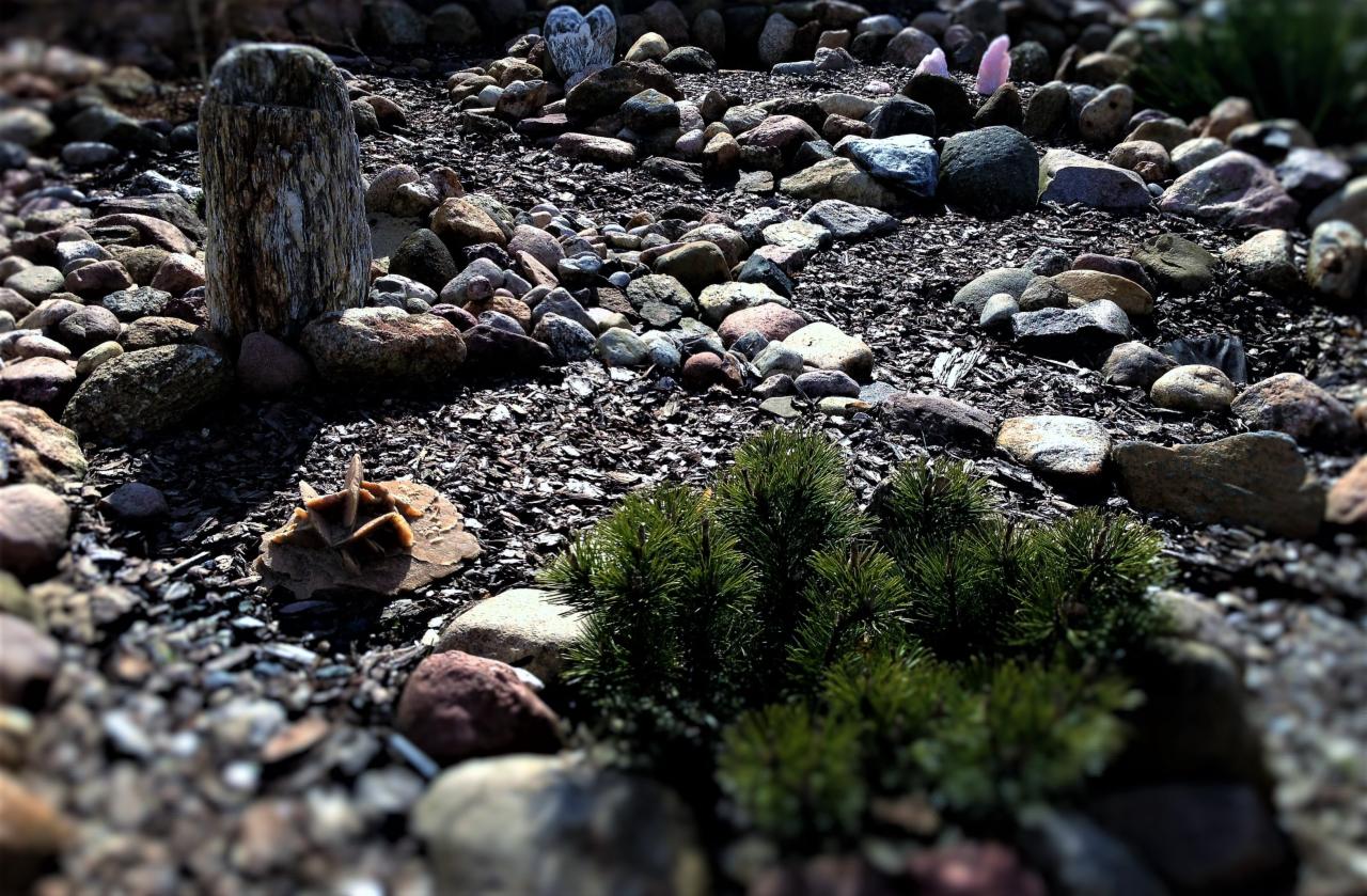 Ogródek mineralogiczny z różnorodnymi skałami, minerałami i granitem, na pierwszym planie karłowate drzewko iglaste, w tle drewniany słupek i kamienne serce.