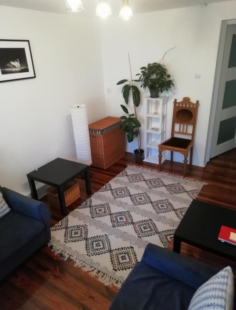 Wnętrze gabinetu z dwoma niebieskimi kanapami, wzorzystym dywanem, drewnianą podłogą i roślinami doniczkowymi, oświetlone trzema lampami sufitowymi.