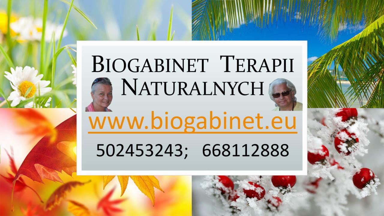 Kompozycja z czterech krajobrazów (kwiaty, liście, plaża, owoce pokryte szronem) otaczających centralny panel z nazwą 'Biogabinet Terapii Naturalnych', adresem strony internetowej i numerami...