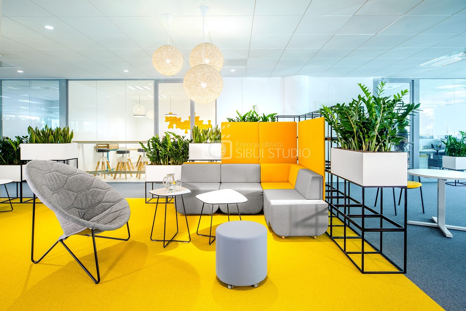 Sibui Studio pokazuje realizacje klientów w estetyczny i wyjątkowy sposób. Hi-endowy retusz i świetne kolory!