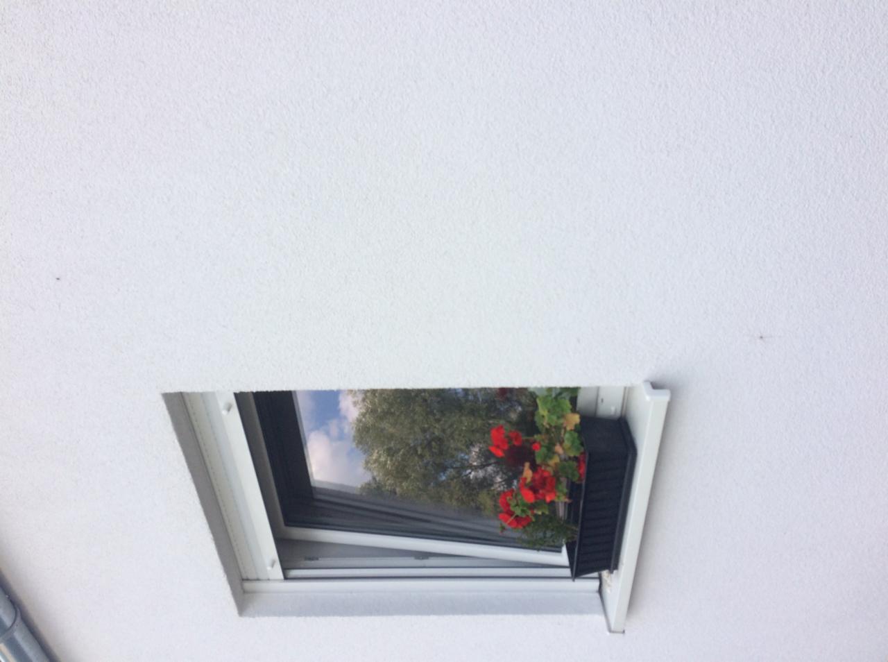 Uchylone okno dachowe z widokiem na drzewo i czerwone kwiaty w skrzynce, biały sufit z fakturą w tle.