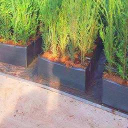 Krawiec Buczkowice 2