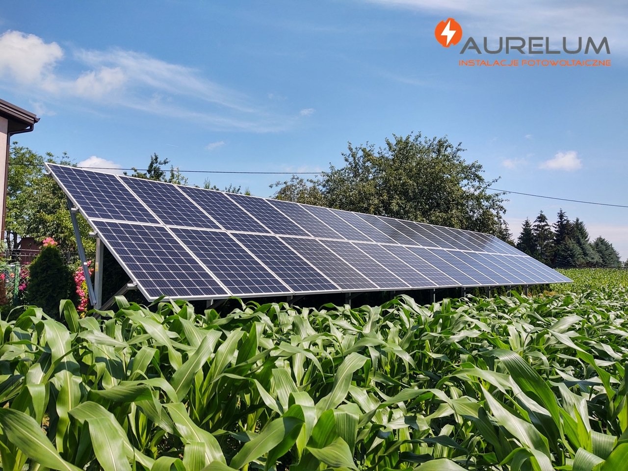 Instalacja paneli słonecznych na konstrukcji naziemnej, otoczona polem kukurydzy, widoczny budynek z brązowym dachem i logo firmy Aurelum w prawym górnym rogu.