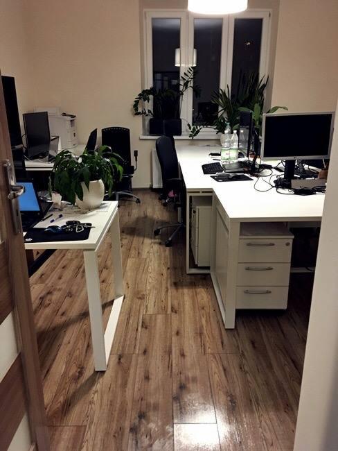 Uporządkowane stanowiska pracy w biurze z białymi biurkami, roślinami doniczkowymi na parapetach i drewnianą podłogą, widok zza uchylonych drzwi.