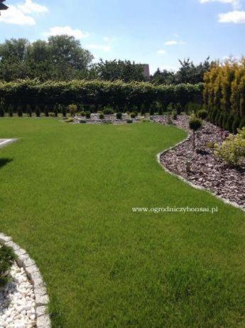 Utrzymany trawnik z ozdobnymi nasadzeniami drzew i krzewów, obrzeża z kamieni i kory, w tle żywopłot.