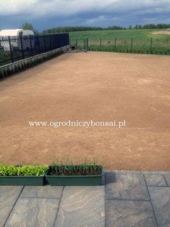 Przygotowany teren pod trawnik z widocznymi doniczkami z sadzonkami i fragmentem tarasu z szarych płyt, w tle ogrodzenie i zielone pole.