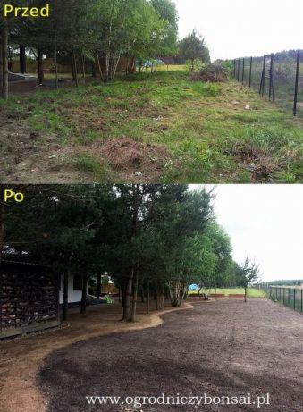 Zdjęcie 'przed' i 'po' przedstawiające transformację terenu: zaniedbany trawnik z chwastami i nierównościami zamieniony w wyrównany teren z nasadzeniami drzew, krzewów i przygotowaną ścieżką...