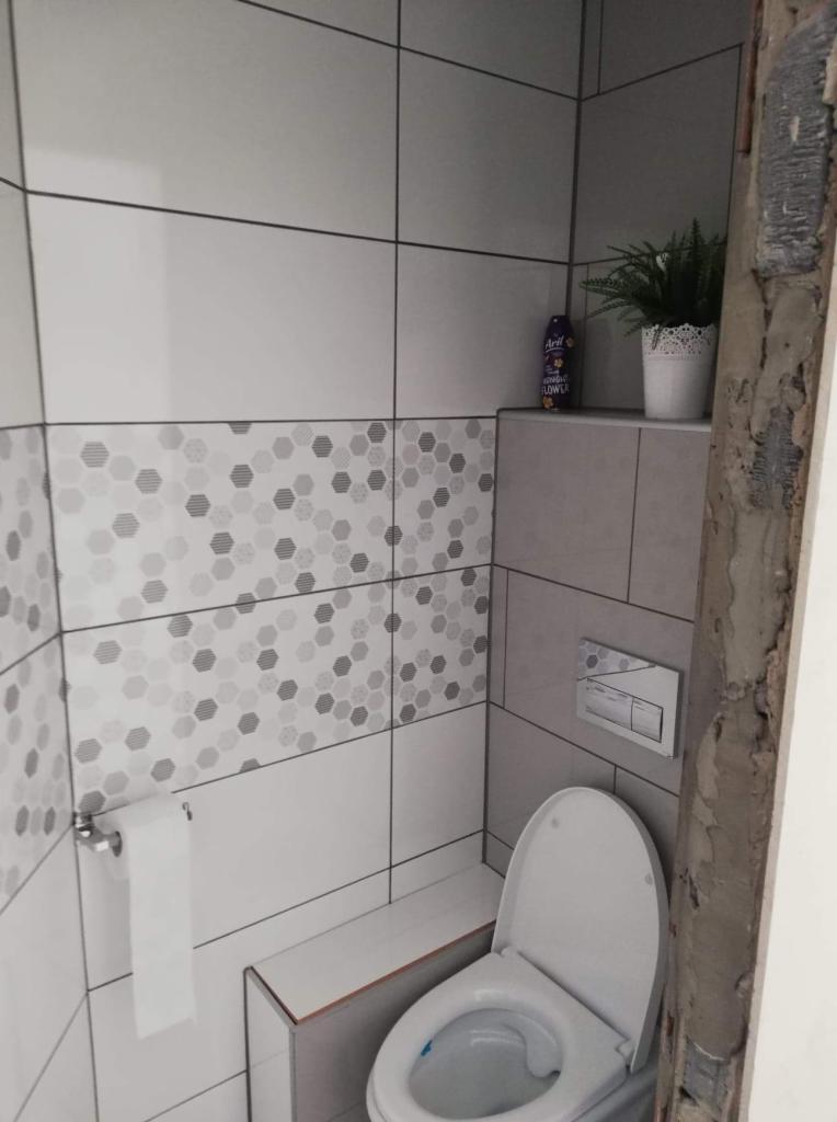 Wykończona toaleta z białymi i szarymi płytkami, dekoracyjnym wzorem w heksagony, rośliną doniczkową na półce i widocznym fragmentem ościeżnicy w trakcie prac wykończeniowych.