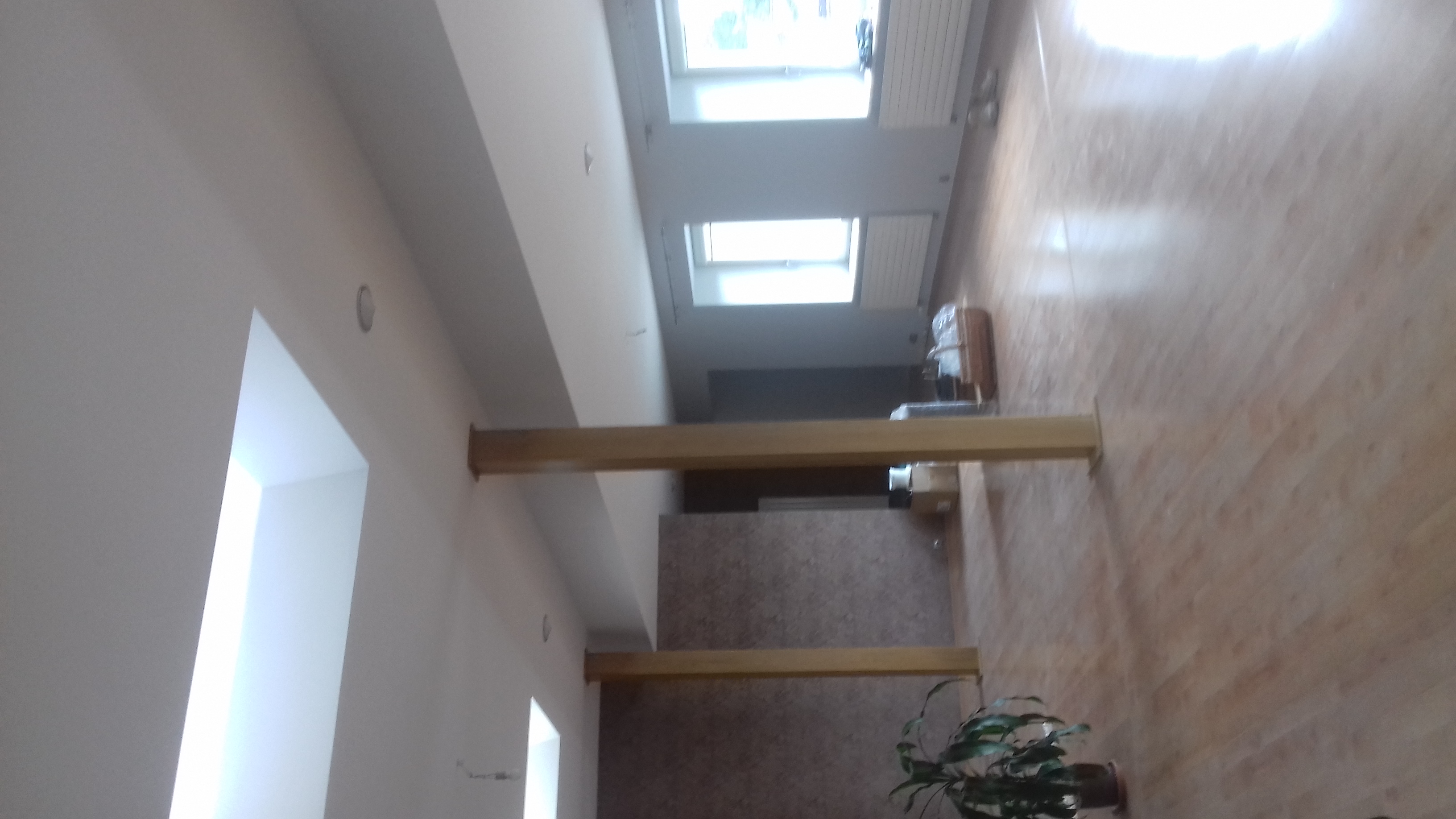 Wnętrze z drewnianymi belkami pod sufitem, widok na okna i podłogę z paneli, zieleń rośliny doniczkowej w rogu.