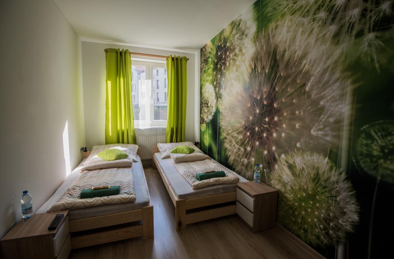 Pokój dwuosobowy z łóżkami pojedynczymi, zielonymi zasłonami i fototapetą z dmuchawcami na ścianie, butelka wody na szafce nocnej.