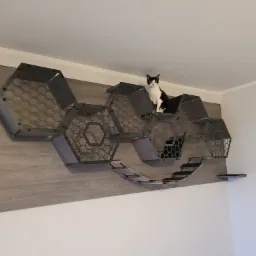 Czarno-biały kot siedzi na ściennym drapaku w kształcie sześciokątów, zamontowanym na panelu imitującym drewno.