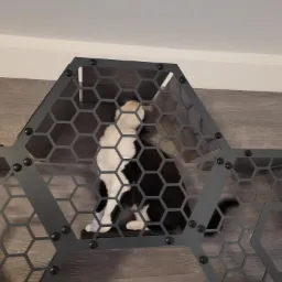 Czarno-biały kot w nowoczesnym, modułowym regale ściennym o strukturze plastra miodu, z ciemnego drewna i szarego metalu.