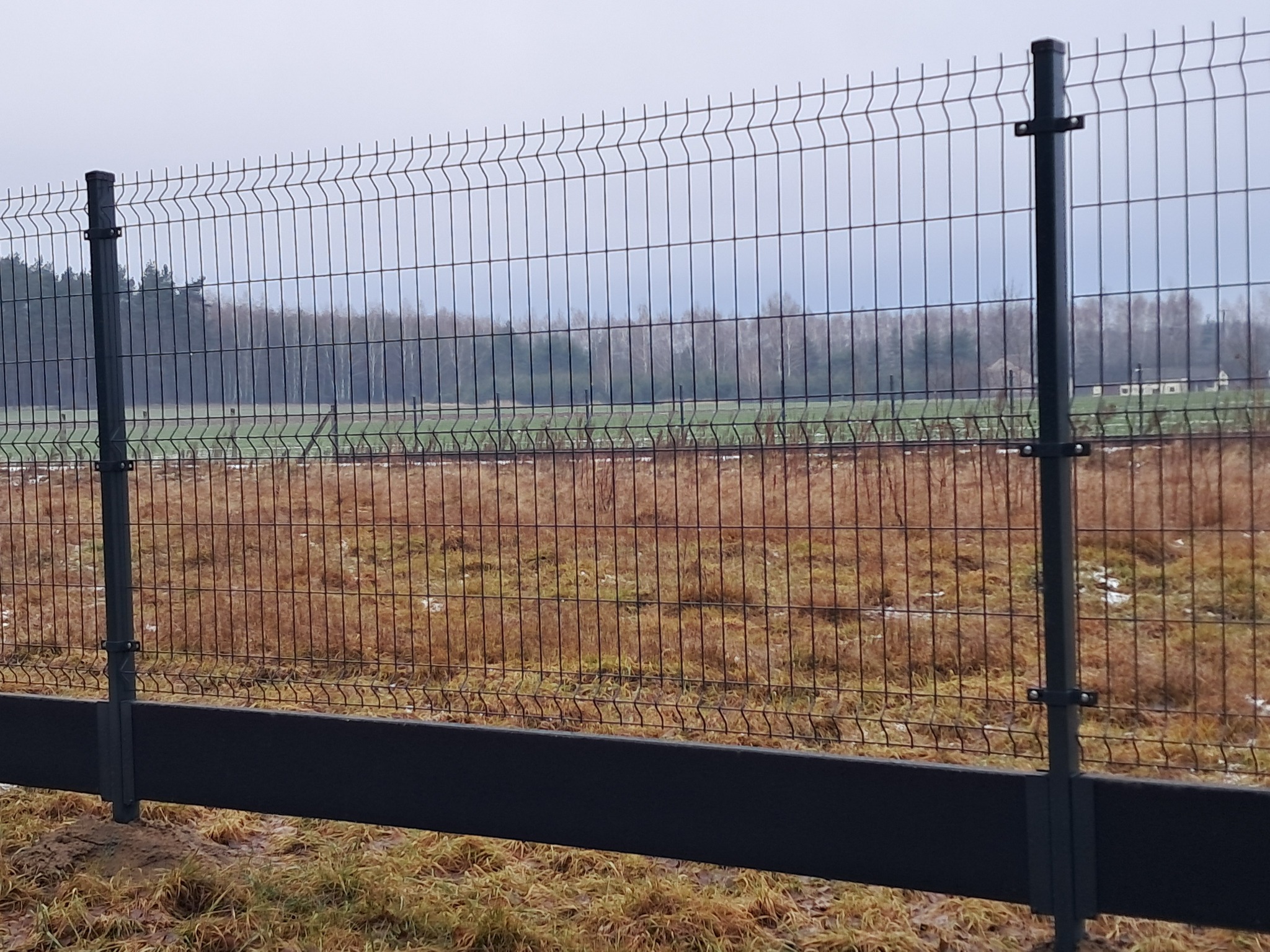 Nowoczesne ogrodzenie z siatki z podmurówką betonową, widoczne słupki i przęsła, na tle pola i lasu w pochmurny dzień.