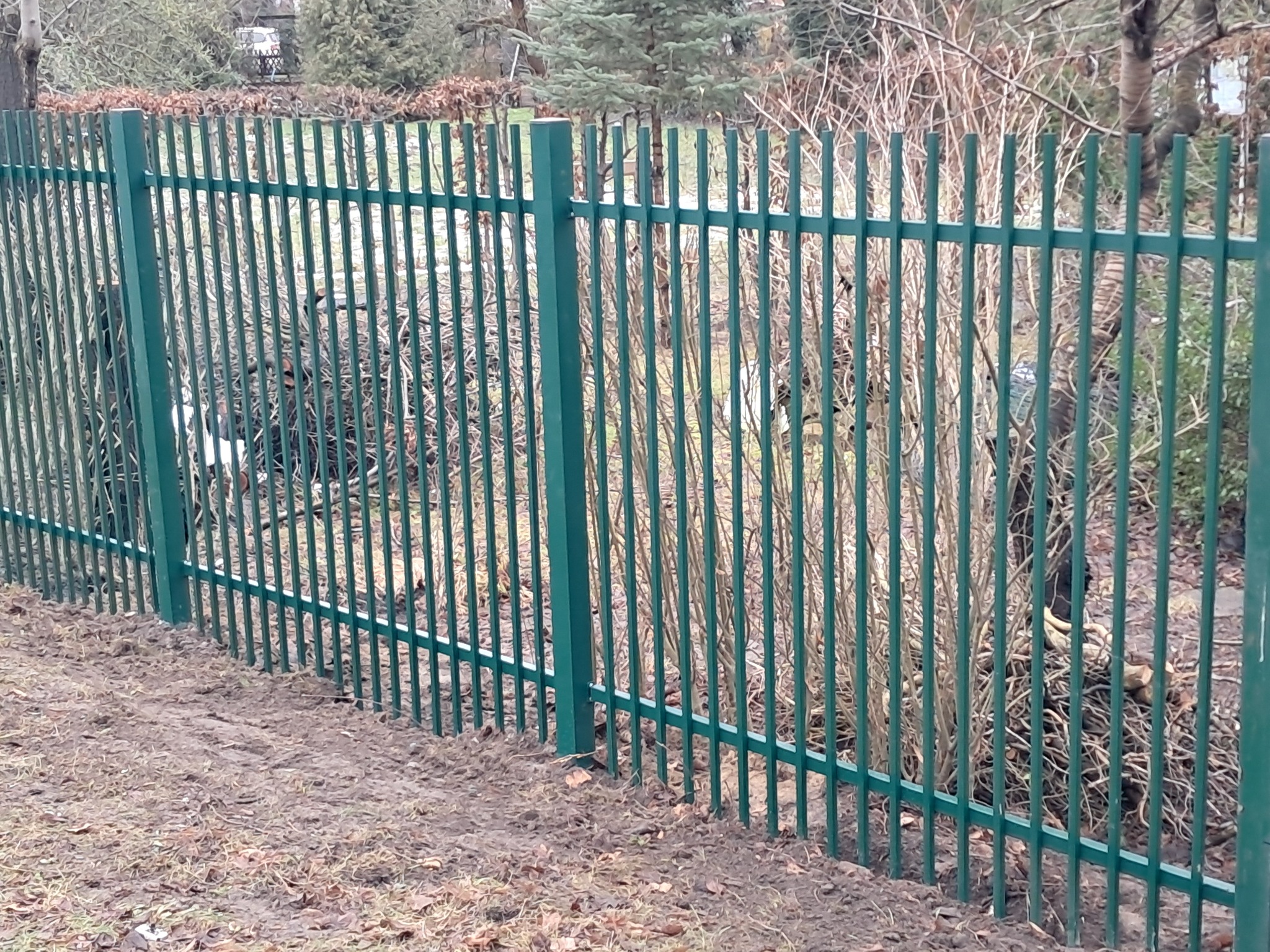 Zielone, metalowe ogrodzenie z pionowych prętów na tle brązowych krzewów bez liści i drzew