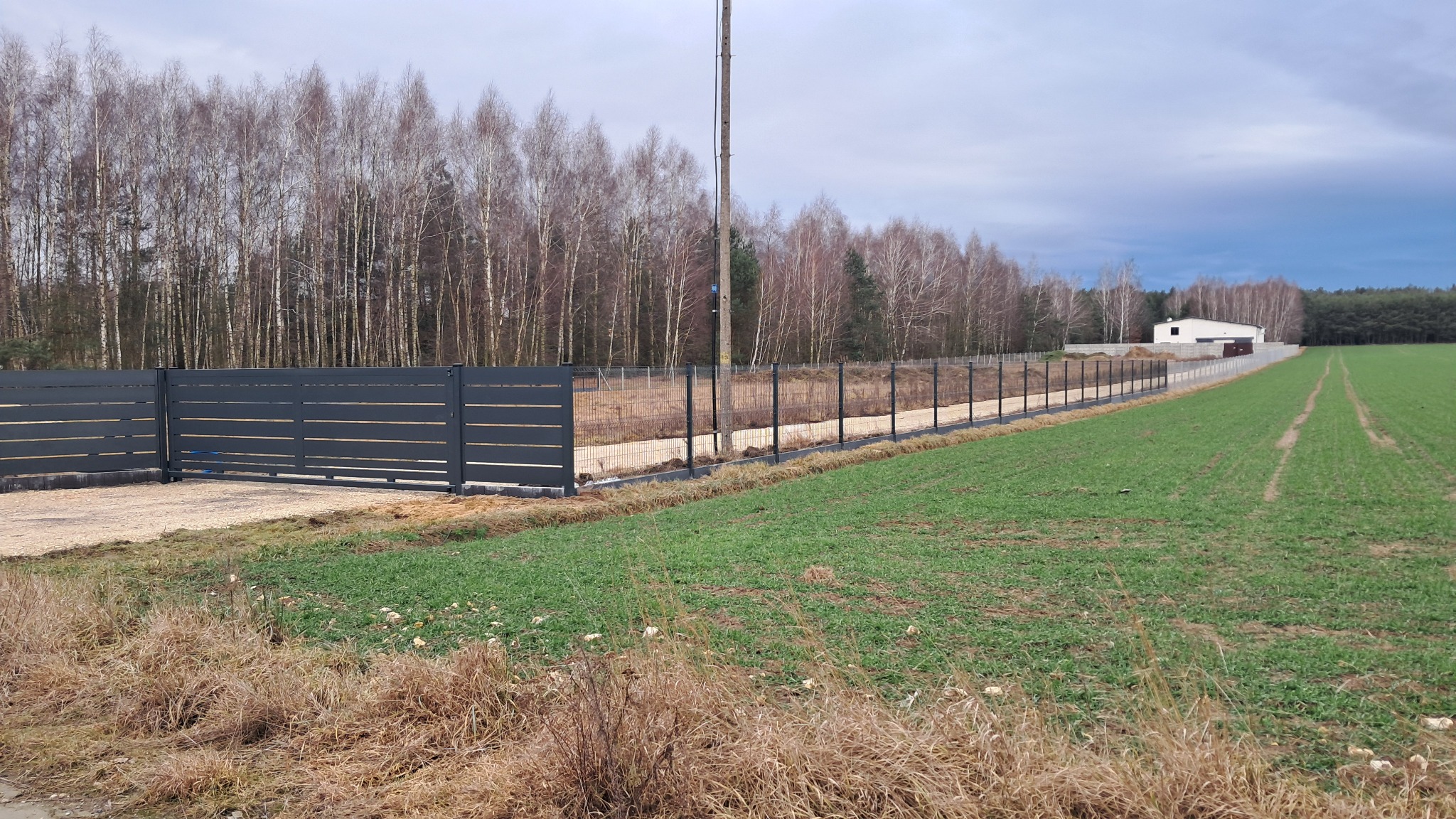 Nowoczesne, antracytowe ogrodzenie panelowe z poziomymi prętami, połączone z siatką leśną, otaczające teren z młodym zbożem, widok w kierunku budynku gospodarczego w oddali.