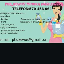 Ilustracja reklamowa firmy sprzątającej z kreskówkową postacią kobiety trzymającej wiadro ze środkami czystości, zawierająca listę oferowanych usług i dane kontaktowe.