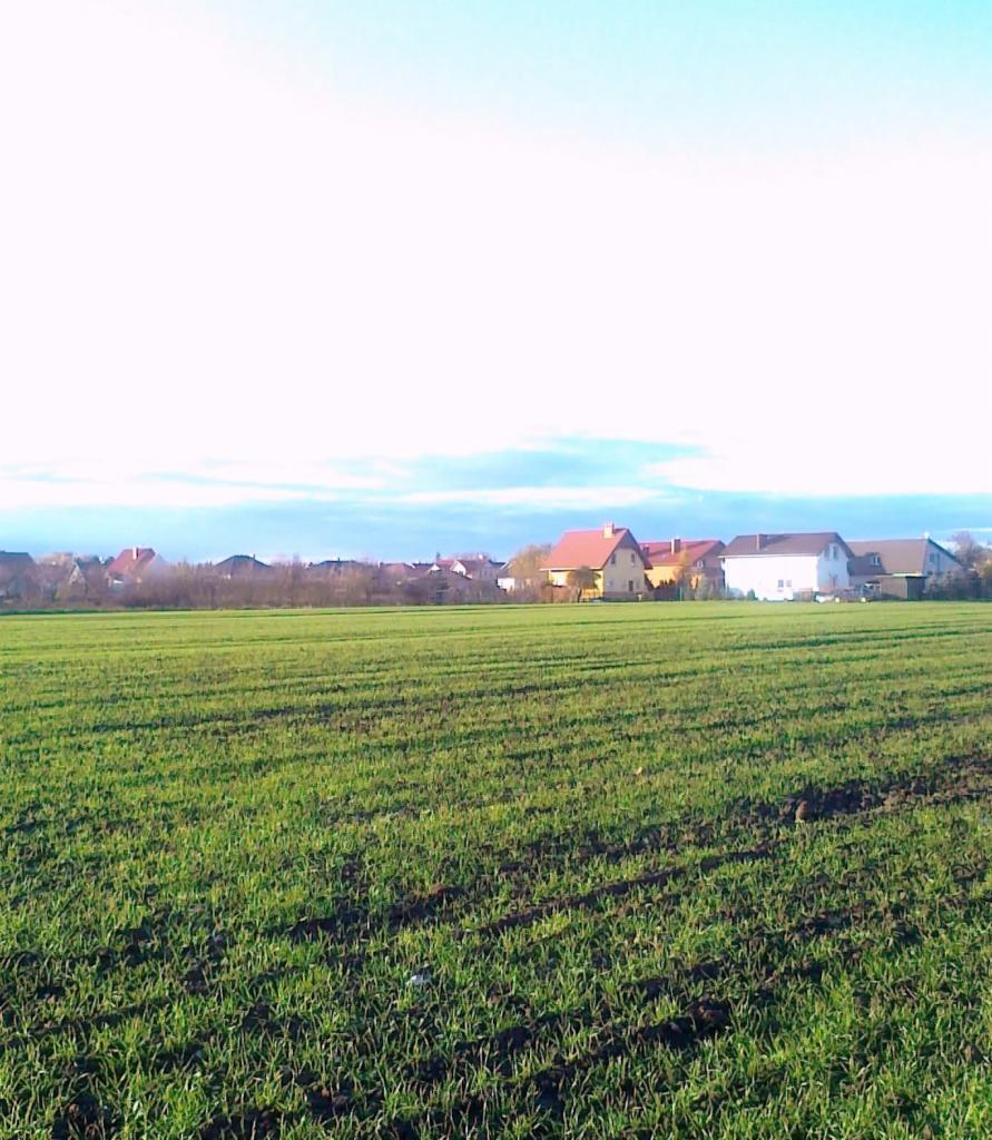 działka budowlana Rokietnica