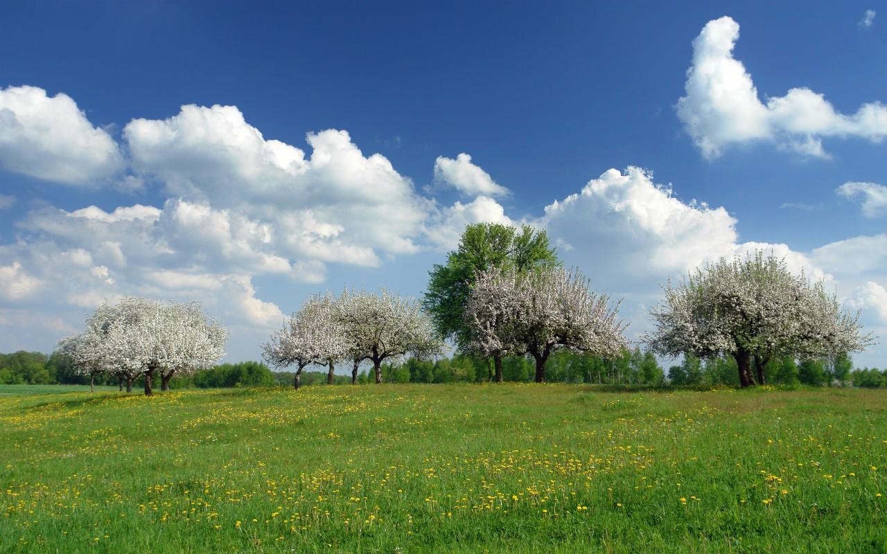 działki budowlane Kaźmierz