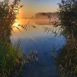 Poranny krajobraz jeziora z mgłą, trzcinami w pierwszym planie i wschodzącym słońcem odbijającym się w wodzie.