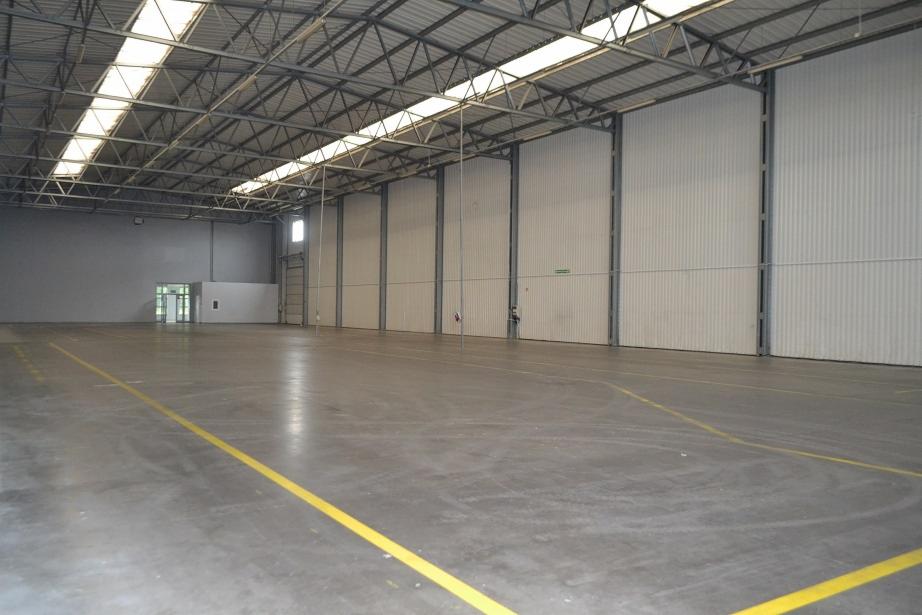 Pusta hala magazynowa z betonową podłogą i żółtymi liniami wyznaczającymi strefy, widoczne stalowe elementy konstrukcyjne dachu i białe ściany z blachy trapezowej.