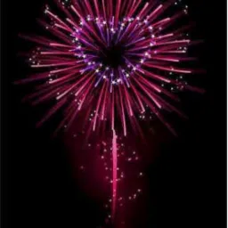 Wybuchające serce z czerwonych i fioletowych fajerwerków na czarnym tle.