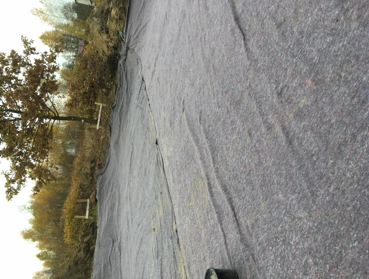 Geowłóknina rozłożona na ziemi, widoczne drewniane paliki wyznaczające teren, drzewa w tle.