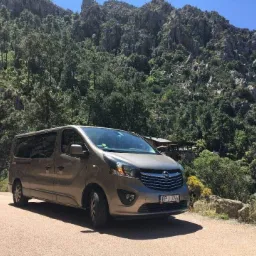 Brązowy van Opel Vivaro zaparkowany na poboczu drogi z widokiem na górzysty krajobraz zalesiony sosnami, tablica rejestracyjna EPJ JY66.